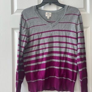 St. John's Bay Gray and Purple V-Neck Sweater